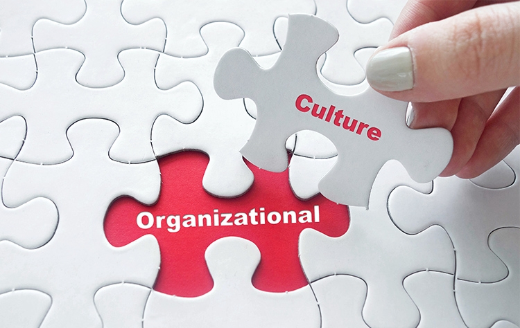 فرهنگ سازمانی و مدل DISC